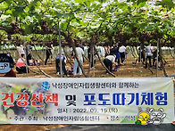 2022년 9월 15일 포도체험..