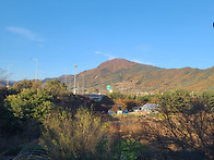 잘&#51062;은 가을느티나무