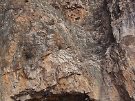 15일 등반공지(조비산)