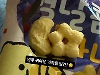배우님 스토리