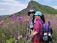 황매산1