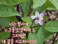 오늘의 말씀 ㅡ잠언3:6(..