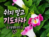 오늘의 말씀ㅡ살전5:17(..