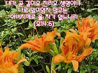 오늘의 말씀ㅡ요14:6(주님..