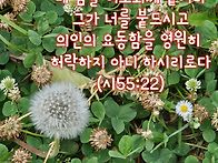 오늘의 말씀ㅡ시편55:22..