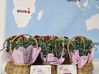 어버이 주일