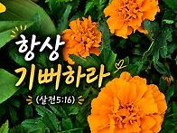 오늘의 말씀ㅡ살전5:16(..