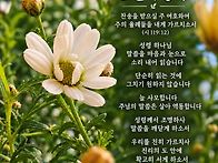 오늘의 양식:시119:12