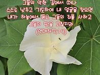 오늘의 말씀ㅡ역대하 7:1..