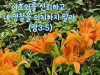 오늘의 말씀ㅡ잠언3:5(주..
