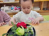 청경채찍기와 게이트볼놀이