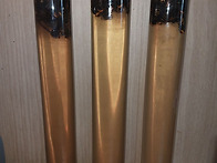 2025 담금주 자랑