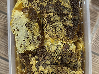 목청 산행