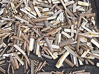 건재옷나무/옷나무잔가지판..