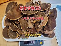 황철상황, 송상황, 생강나..