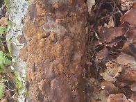 자작편상황 삽주건재 종말..