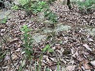 목청 산행기