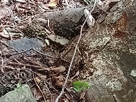목청 산행기