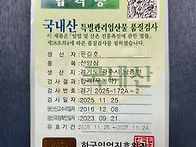 산양삼 파삼경매