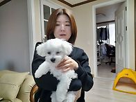 유기