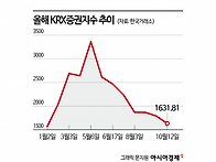 [반토막 뉴스]고점 대비 ..