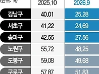 [반토막 뉴스]대출 조이자..