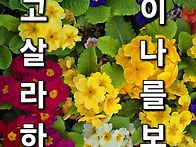 ○웃고살라○