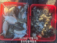 10/6일 쭈꾸미 낚시 다녀..