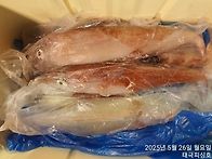 소수인원14명 으로 한치 ..