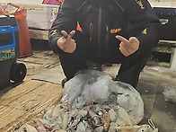 5/24일 한치 다녀 왔습니다..