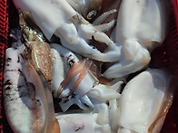 21일심해갑 다녀왔습니다