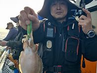 10/30일 짱가호.알파호 타..