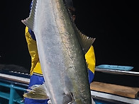 방어지깅 다녀왔습니다