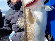 8일 오늘 대구조황입니다