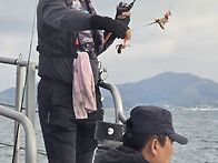 11/16일 꾸준한 조황이 계..