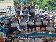 7-9일 돌문어 해제 첫날~..