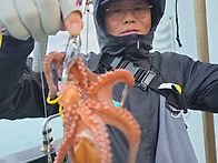 4/12일~13일 고흥문어 낚..