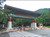 題 : 오월단비에 무릉설악..