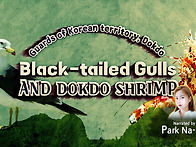 Guards of Korean t..