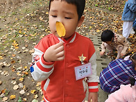 가을 숲체험&#127810;&#127809;