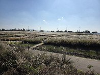 2025년 하반기 모임(20..