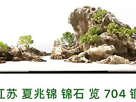 제10회전국분경전 산수-수..