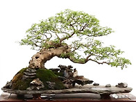 제10회전국분경전 산수-수..