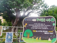 세종특별자치시 보호수 1..