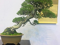 2025년 제88회대아전(大雅..