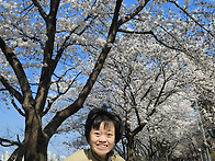 갑천 벚꽃 나들이