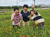 2026년 6월 4주