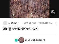 자명 제선충소나무..