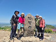 단감 꽃봉우리 솎기(적뢰)..
