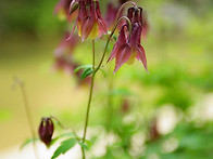 가리산 용소폭포